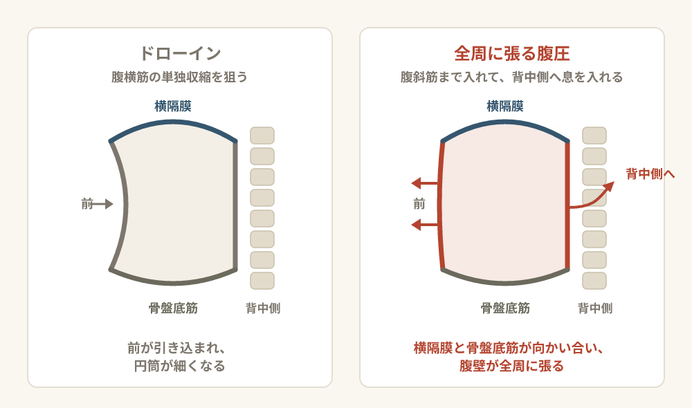 腹腔を円筒に見立てた模式図2枚の比較。上に横隔膜、下に骨盤底筋、周囲を腹壁が囲む。ドローインでは腹壁の前面が内へ引き込まれて円筒が細くなる。全周に張る腹圧では、横隔膜と骨盤底筋が向かい合い、腹壁が前・横・後ろへ均等に張る