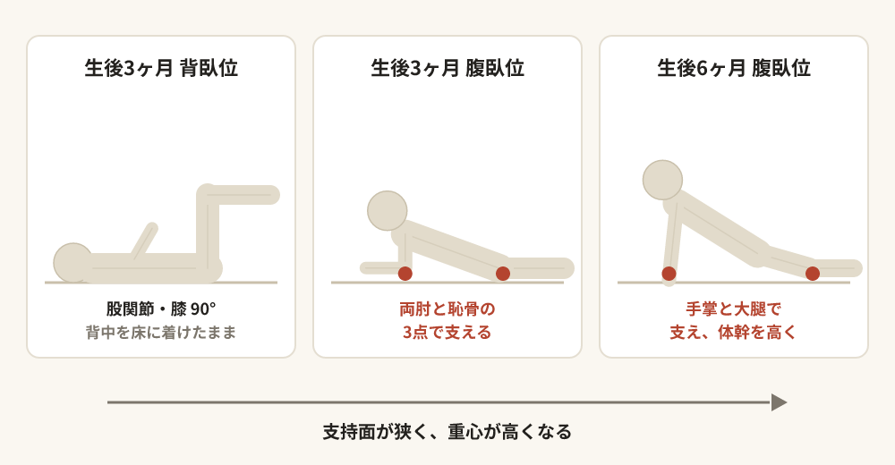 発達肢位の3つの模式図。生後3ヶ月の背臥位は股関節と膝を90度に曲げて脚を持ち上げる。生後3ヶ月の腹臥位は両肘と恥骨の三点で支える。生後6ヶ月の腹臥位は手掌と大腿の遠位部で支え、体幹を高く起こす